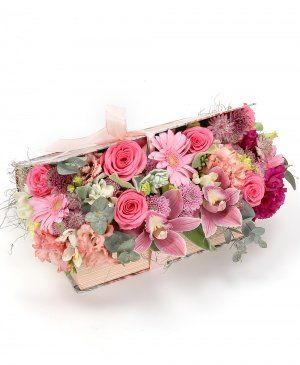 Imaginea produsului Fericire Fără Cuvinte Imaginea produsului Fericire Fără Cuvinte