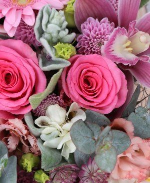 Imaginea produsului Fericire Fără Cuvinte