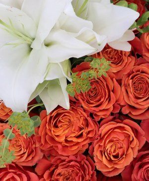 Imaginea produsului Dor De Tine