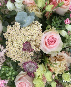 Imaginea produsului Onoare Impresionantă