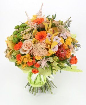 Imaginea produsului Voioșie Intensă Imaginea produsului Voioșie Intensă