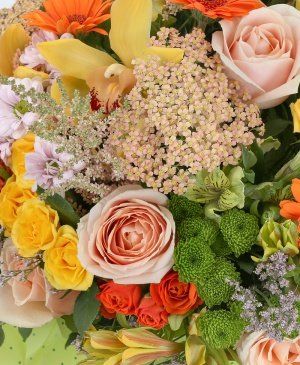 Imaginea produsului Voioșie Intensă