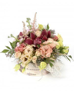 Imaginea produsului Grație Deosebită Imaginea produsului Grație Deosebită