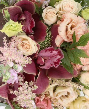 Imaginea produsului Grație Deosebită