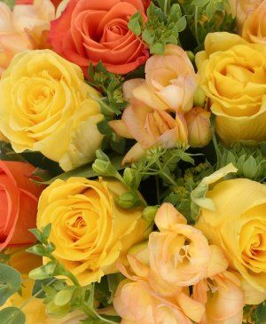 Imaginea produsului Buchetul De Aur