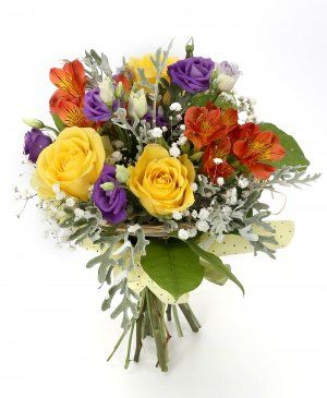 Imaginea produsului Farmec Multicolor Imaginea produsului Farmec Multicolor