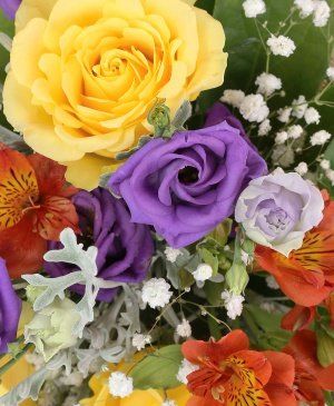 Imaginea produsului Farmec Multicolor