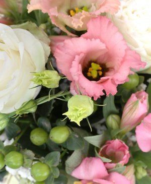 Imaginea produsului Gentilețe