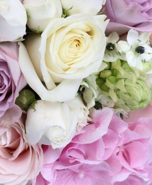 Imaginea produsului Emoții Delicate