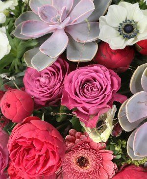 Imaginea produsului Amabilitate Extraordinară