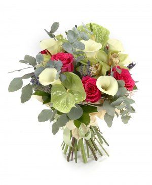 Imaginea produsului Prietenie Fermecătoare Imaginea produsului Prietenie Fermecătoare