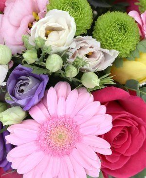 Imaginea produsului Veselie Colorată