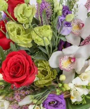 Imaginea produsului Simfonia Emoțiilor