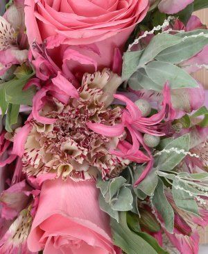 Imaginea produsului Frumusețe Nescrisă