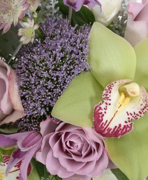 Imaginea produsului Aluzie La Delicatețe