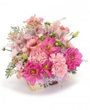 Imaginea produsului Delicatețe Eleganță Imaginea produsului Delicatețe Eleganță