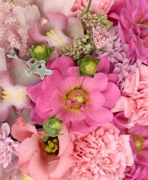 Imaginea produsului Delicatețe Eleganță