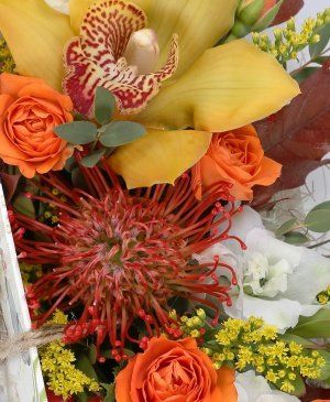 Imaginea produsului Splendoare Completă