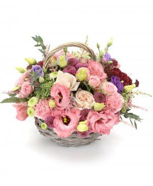 Imaginea produsului Bunăvoință Strălucitoare Imaginea produsului Bunăvoință Strălucitoare