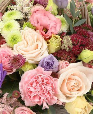 Imaginea produsului Bunăvoință Strălucitoare