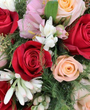 Imaginea produsului Afecțiune Intensă