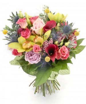 Imaginea produsului Pasiune Strălucitoare Imaginea produsului Pasiune Strălucitoare