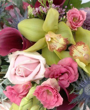 Imaginea produsului Pasiune Strălucitoare