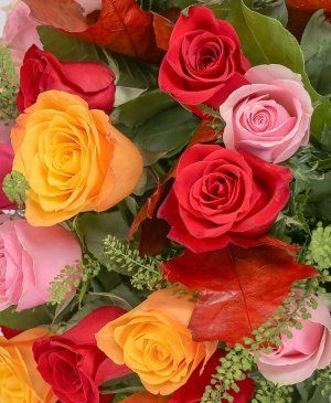 Imaginea produsului 31 Trandafiri Multicolori