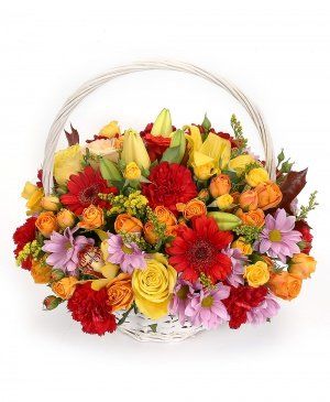 Imaginea produsului Frumusețe Infinită Imaginea produsului Frumusețe Infinită