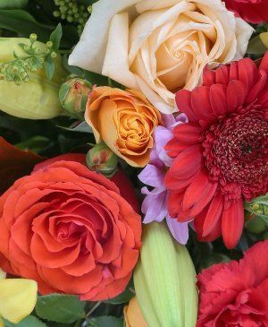 Imaginea produsului Frumusețe Infinită