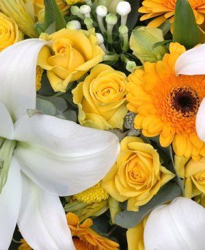 Imaginea produsului Simpatii Eterne