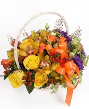 Imaginea produsului Entuziasm Colorat Imaginea produsului Entuziasm Colorat