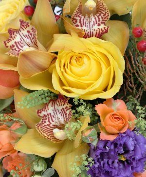 Imaginea produsului Entuziasm Colorat