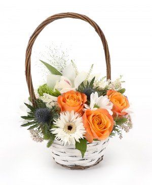 Imaginea produsului Zi Fericită Imaginea produsului Zi Fericită