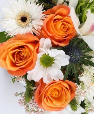 Imaginea produsului Zi Fericită