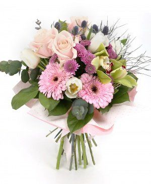 Imaginea produsului Privire Blândă Imaginea produsului Privire Blândă