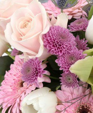 Imaginea produsului Privire Blândă