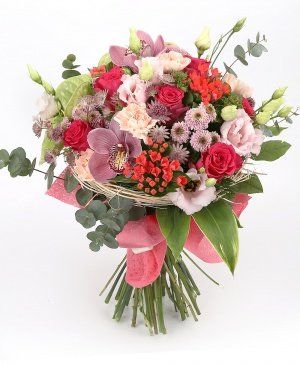 Imaginea produsului Adorație Covârșitoare Imaginea produsului Adorație Covârșitoare