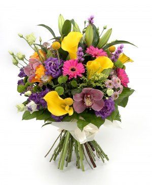 Imaginea produsului Apreciere Fascinantă Imaginea produsului Apreciere Fascinantă