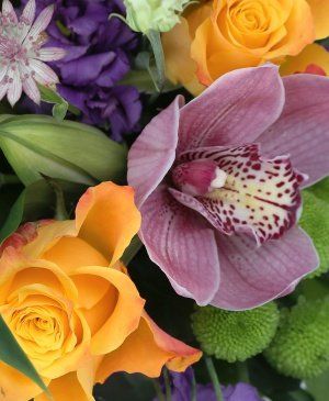 Imaginea produsului Apreciere Fascinantă