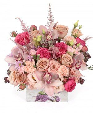 Imaginea produsului Rafinament Expresiv Imaginea produsului Rafinament Expresiv