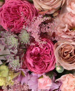 Imaginea produsului Rafinament Expresiv