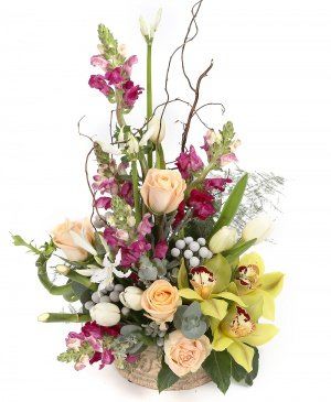 Imaginea produsului Tumult Triumfător Imaginea produsului Tumult Triumfător