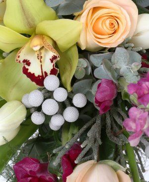 Imaginea produsului Tumult Triumfător