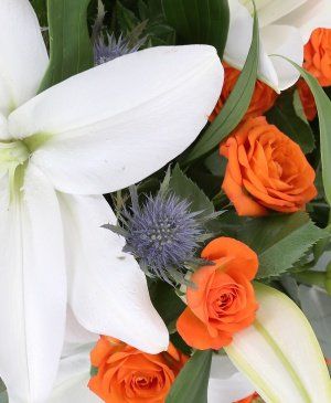 Imaginea produsului Bucuria Succesului