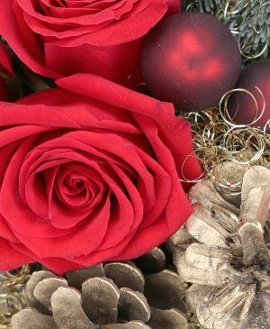 Imaginea produsului Veste Minunată