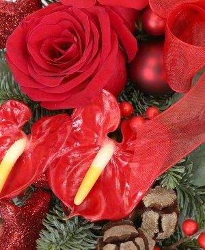 Imaginea produsului Bucuroși De Oaspeți