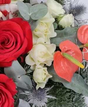 Imaginea produsului Sărbători împreună