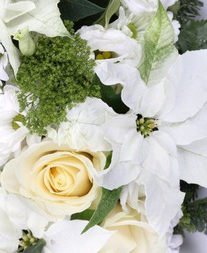 Imaginea produsului Gânduri De Pace