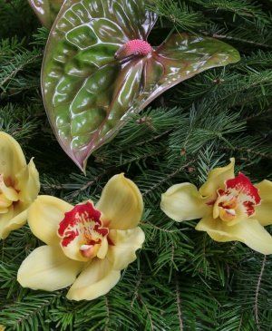 Imaginea produsului Amintiri Veșnice